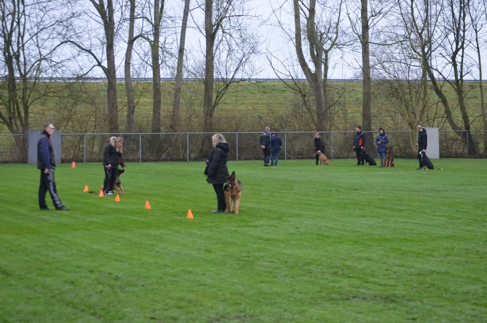 Groepsles op het trainingsveld — cursisten oefenen verspreid over het veld, ieder met hun eigen hond
