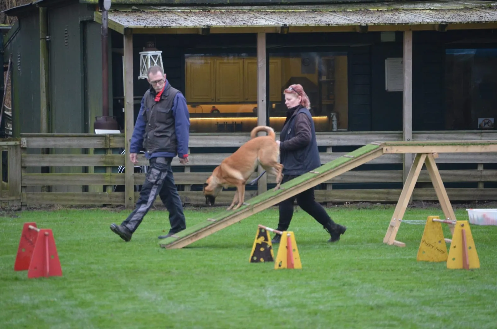 Een jonge hond loopt onder begeleiding de loopplank af, voor het clubhuis
