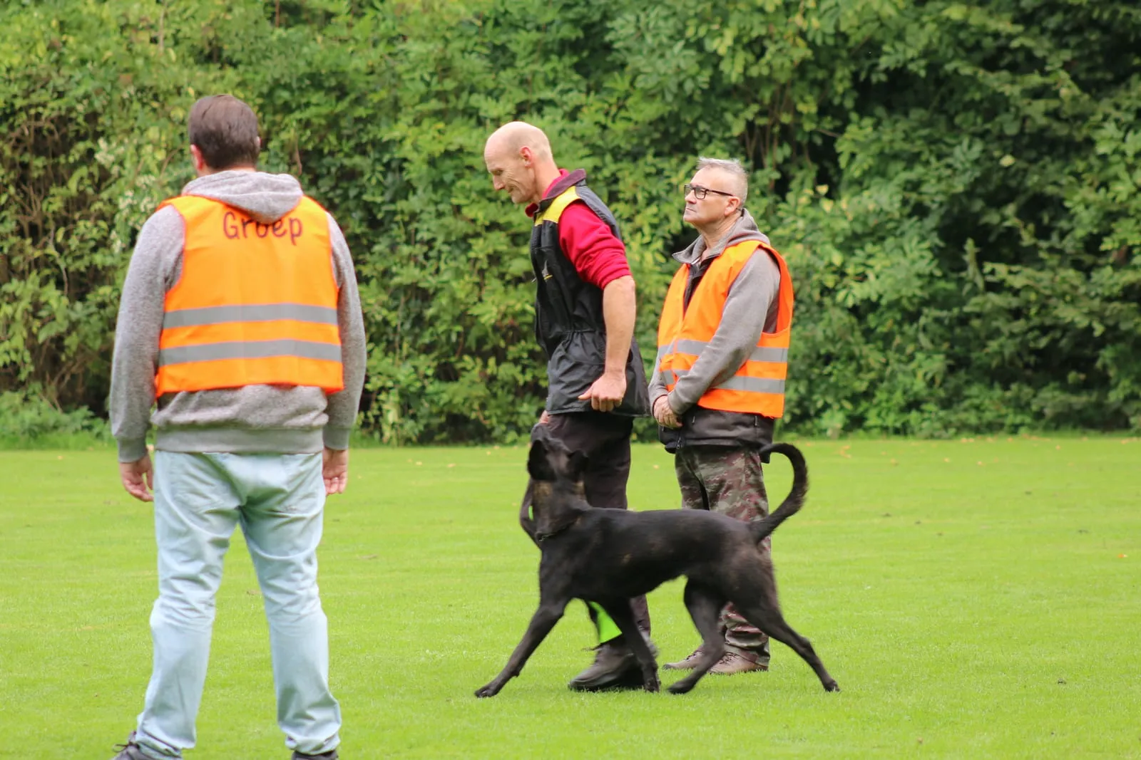 Drie leden met veiligheidshesjes vormen een groepje, terwijl een zwarte herder er aangelijnd langsloopt